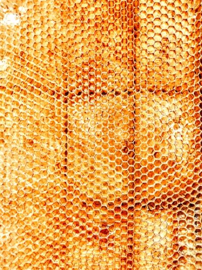 アトピー乾燥敏感肌