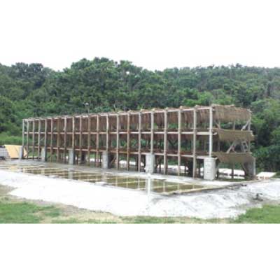 アトピー乾燥敏感肌