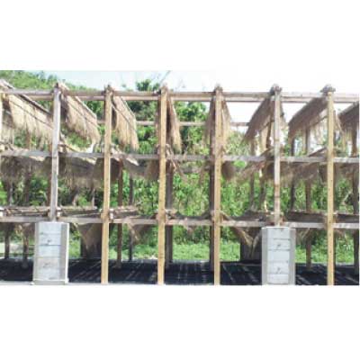 海の子塩　浜比嘉塩　流下