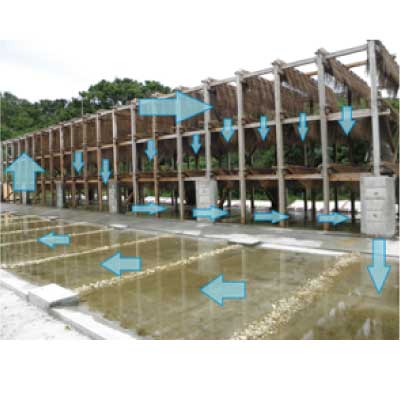 海の子塩　浜比嘉塩　循環