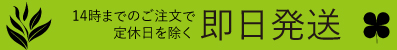敏感肌 無添加 化粧品 即日発送