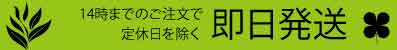 敏感肌 無添加 化粧品 即日発送
